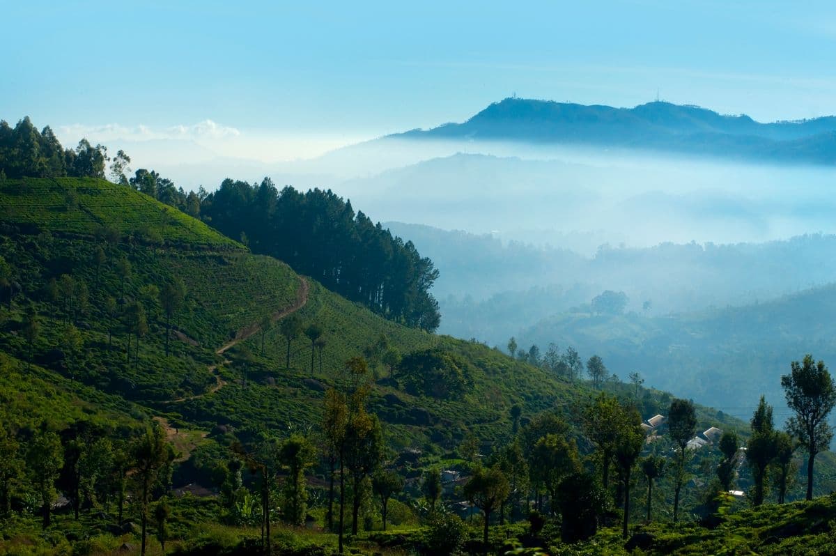 Central Highlands