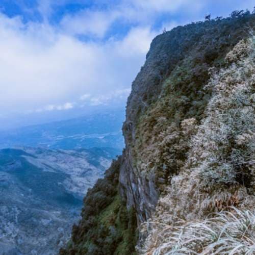 Dreamy landscapes and True Encounters